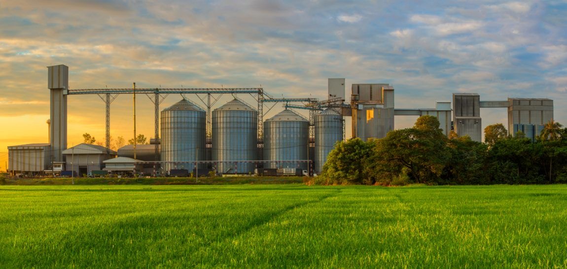 Milling and grain storage